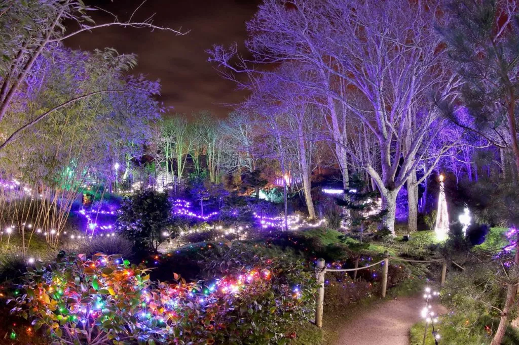 The Enchanted Garden: A Spellbinding Christmas Event