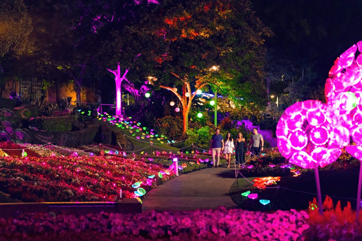 The Enchanted Garden: A Spellbinding Christmas Event