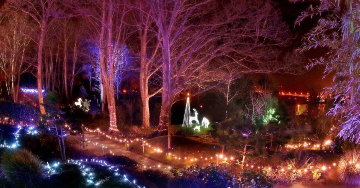 The Enchanted Garden: A Spellbinding Christmas Event