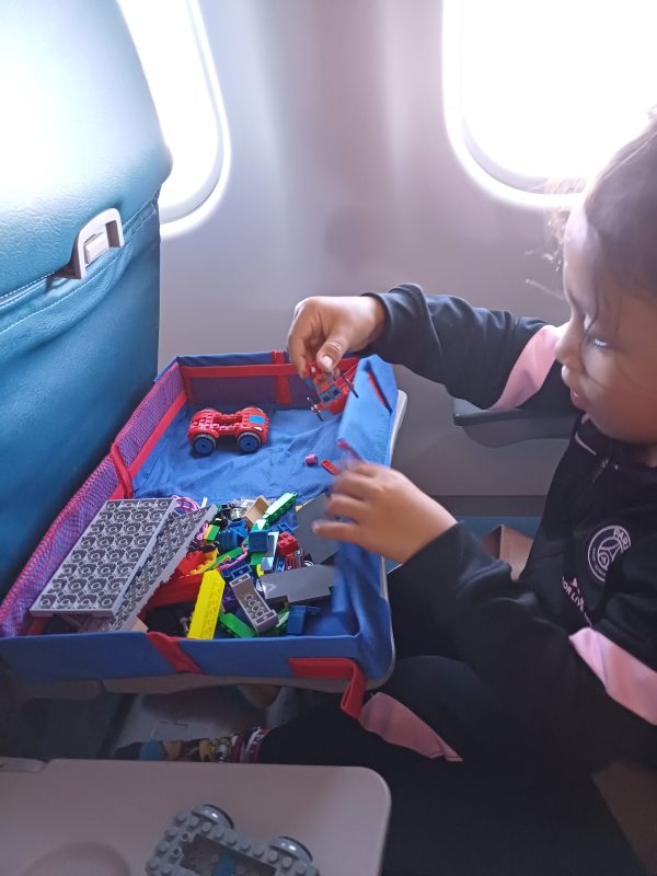 foldable travel tray